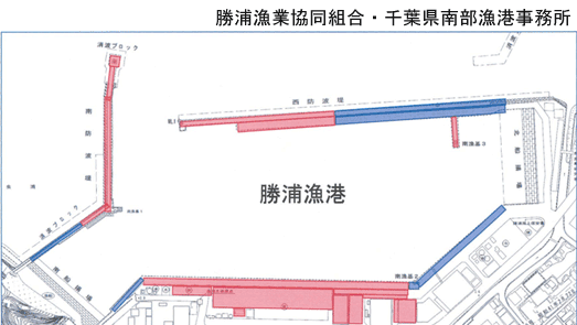 勝浦港で釣りをするときの注意点